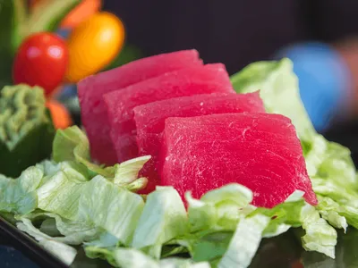 Tuna Sashimi